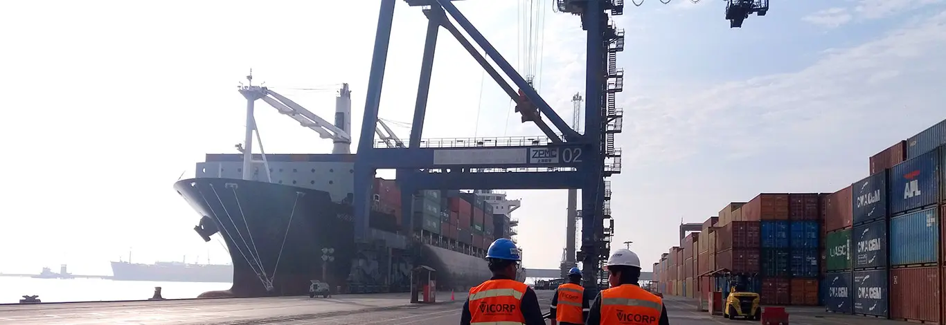 Mantenimiento Elevadores de Grúas Pórtico